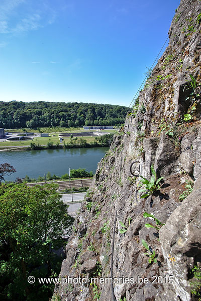 2015-08-01-0003.jpg