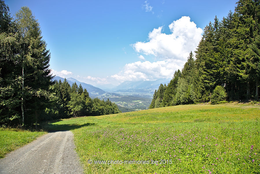 2015-08-22-0011.jpg