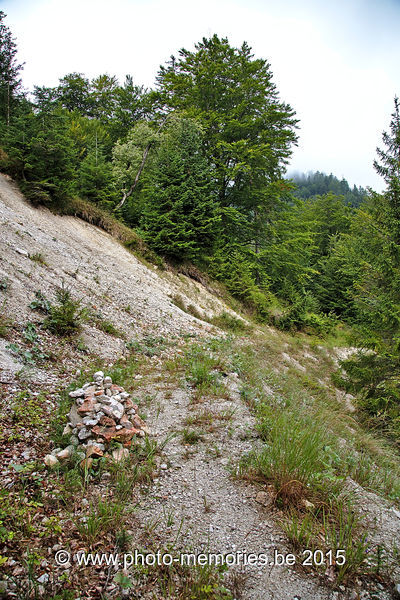 2015-08-25-0044.jpg