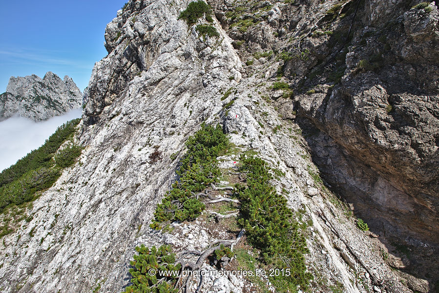 2015-08-26-0058.jpg
