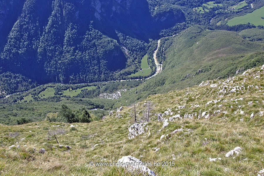 2015-08-27-0078.jpg