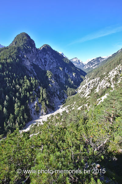 2015-08-28-0095.jpg