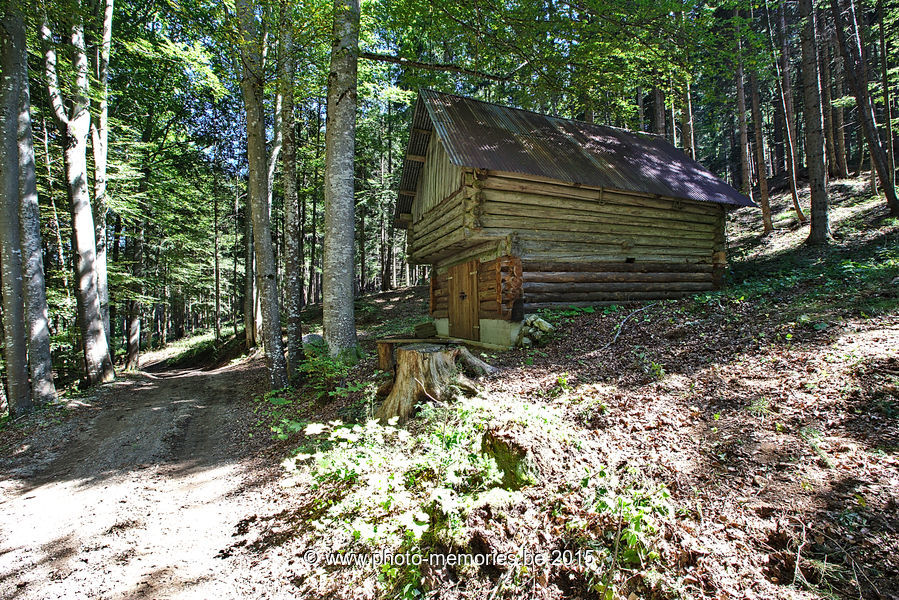 2015-08-29-0120.jpg