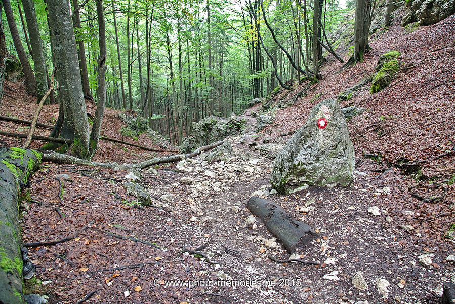2015-09-03-0260.jpg