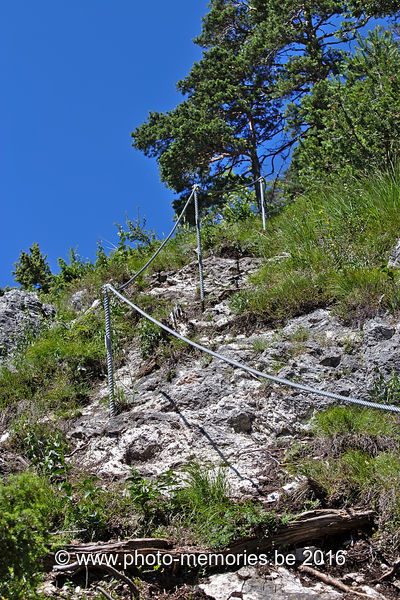 2016-07-07-0233.jpg