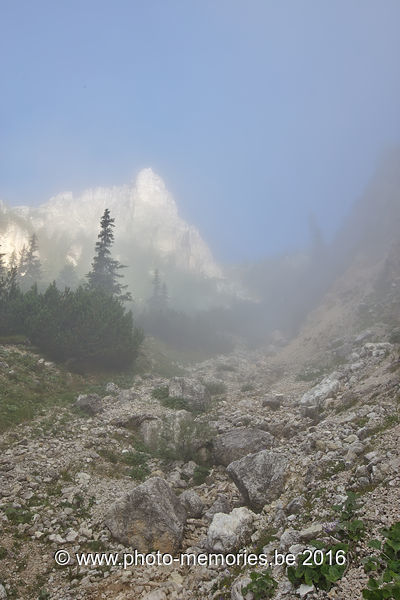 2016-08-26-0245.jpg