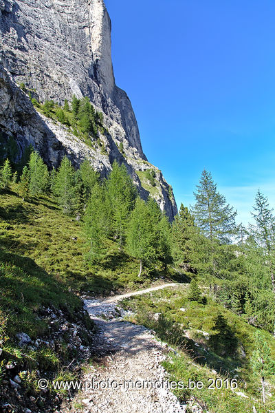2016-08-29-0377.jpg