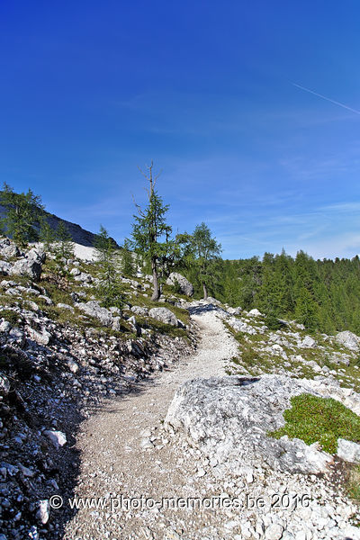 2016-08-29-0378.jpg