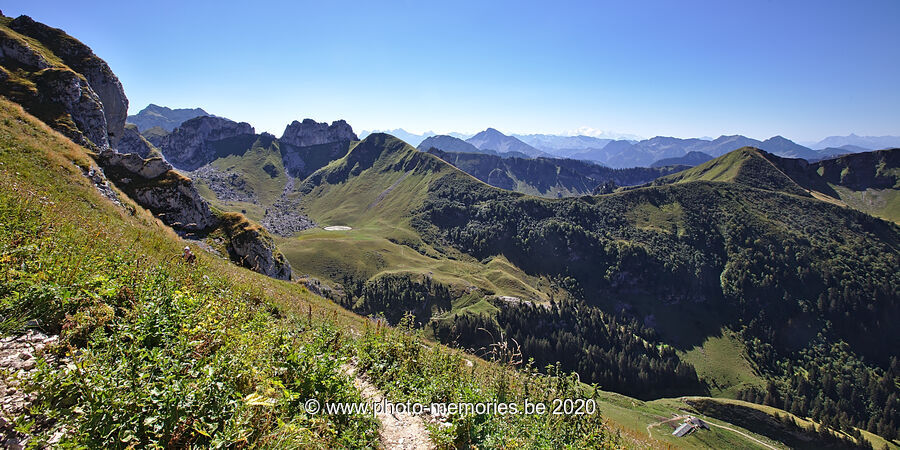 2020-08-21-0007.jpg