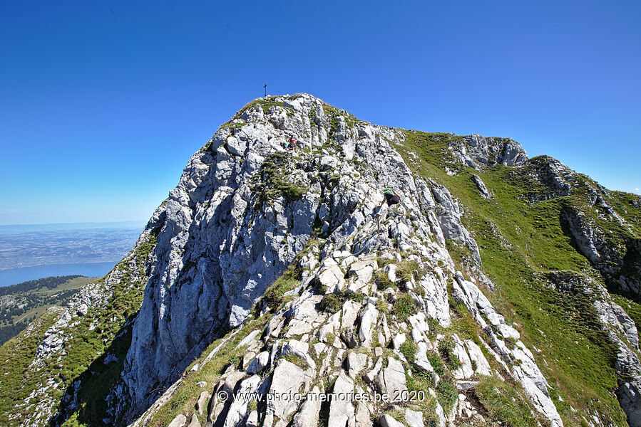 2020-08-21-0014.jpg