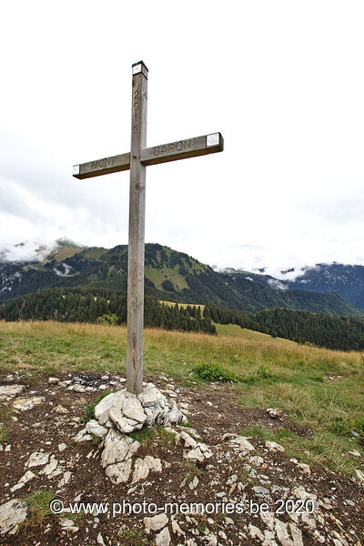2020-08-22-0031.jpg