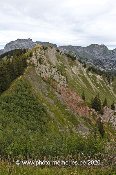 2020-08-25-0057.jpg