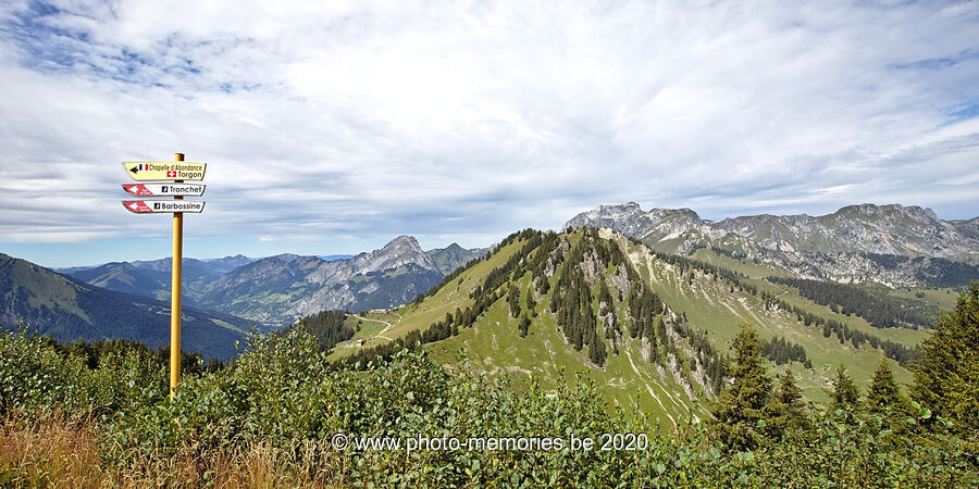 2020-08-25-0063.jpg