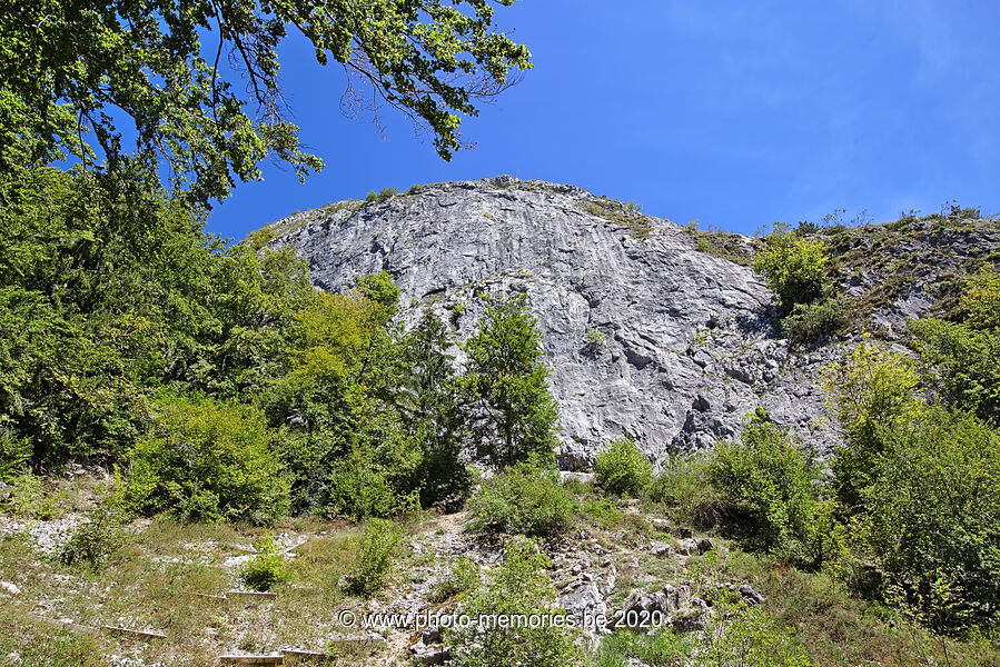 2020-08-26-0085.jpg