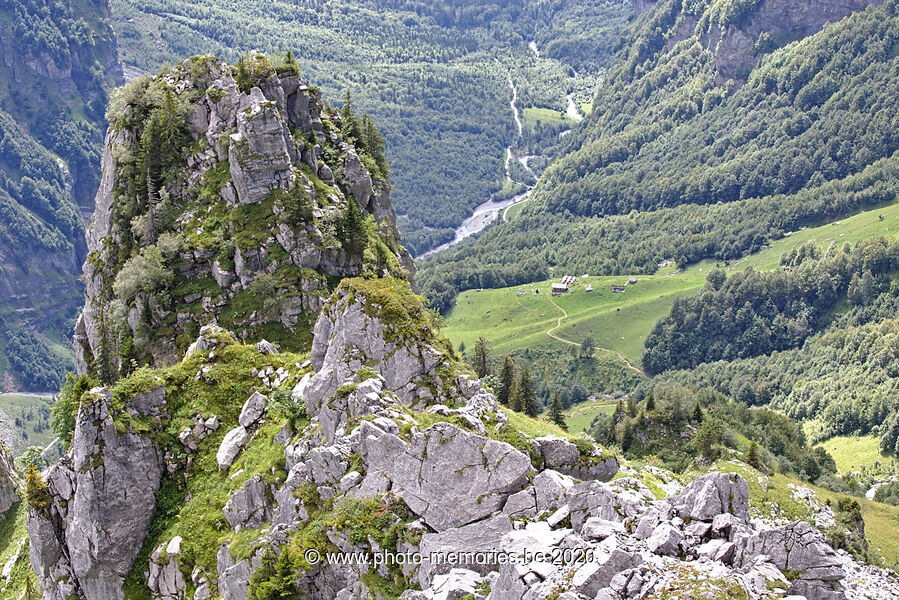 2020-08-27-0106.jpg