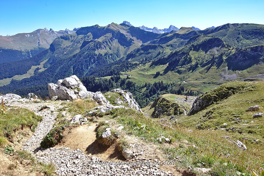 2020-09-04-0214.jpg