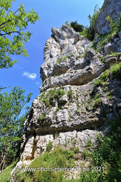 2021-07-02-0091.jpg