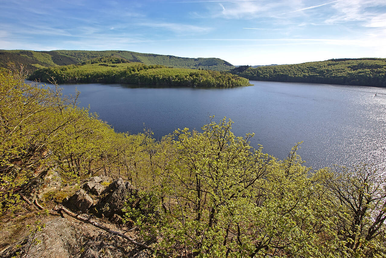 2016-05-06-0009.jpg