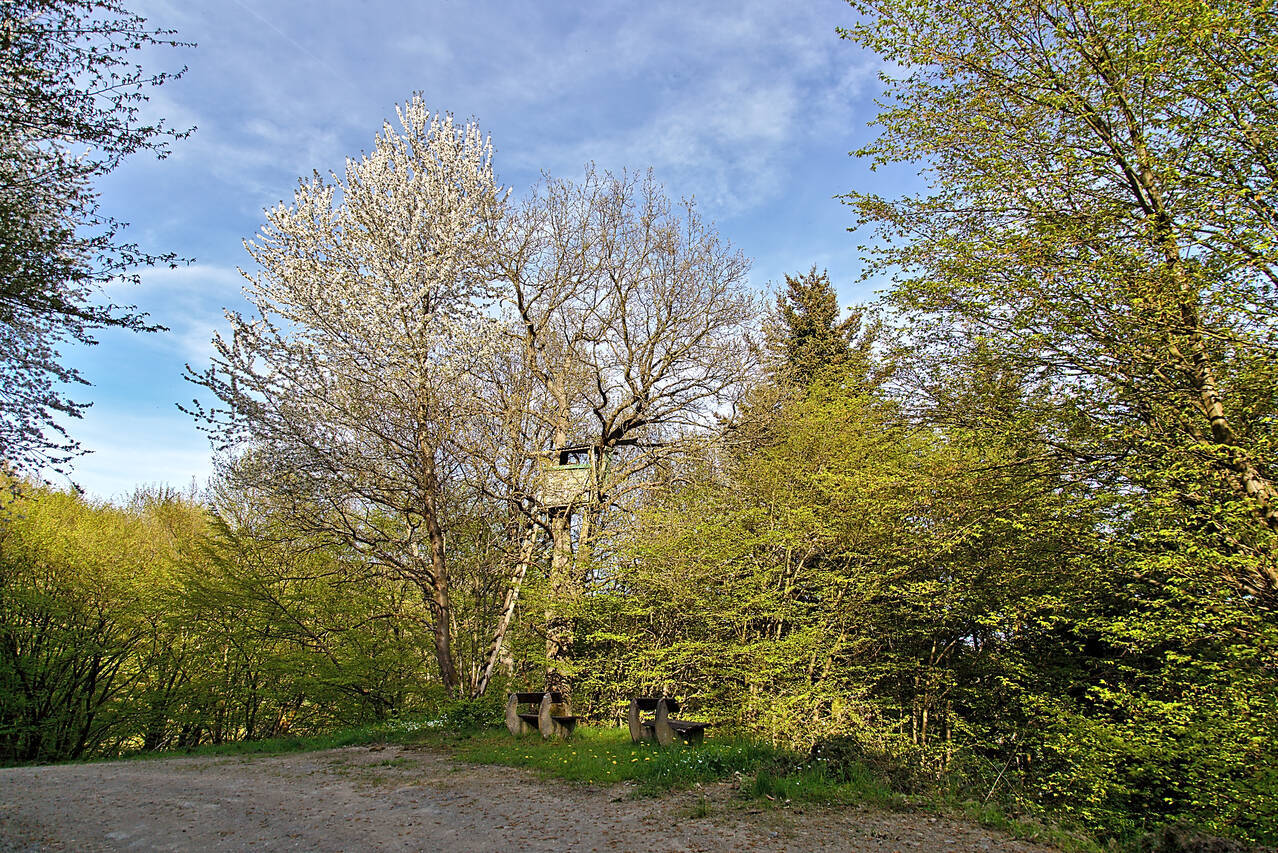 2016-05-06-0011.jpg