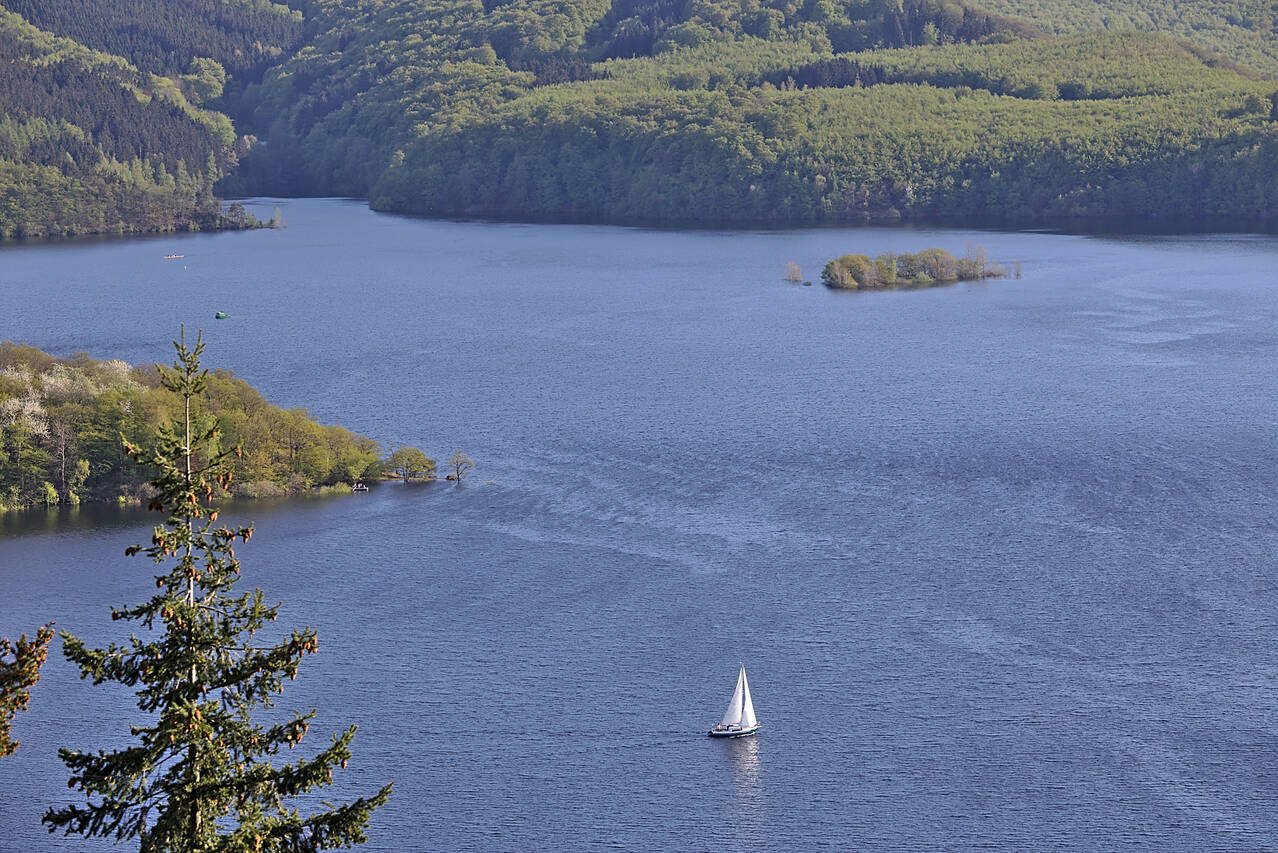 2016-05-06-0013.jpg