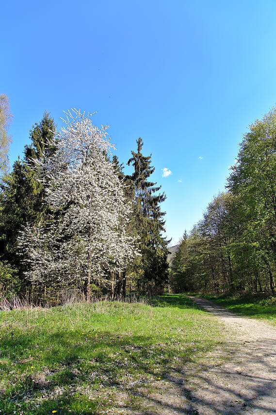 2016-05-07-0023.jpg