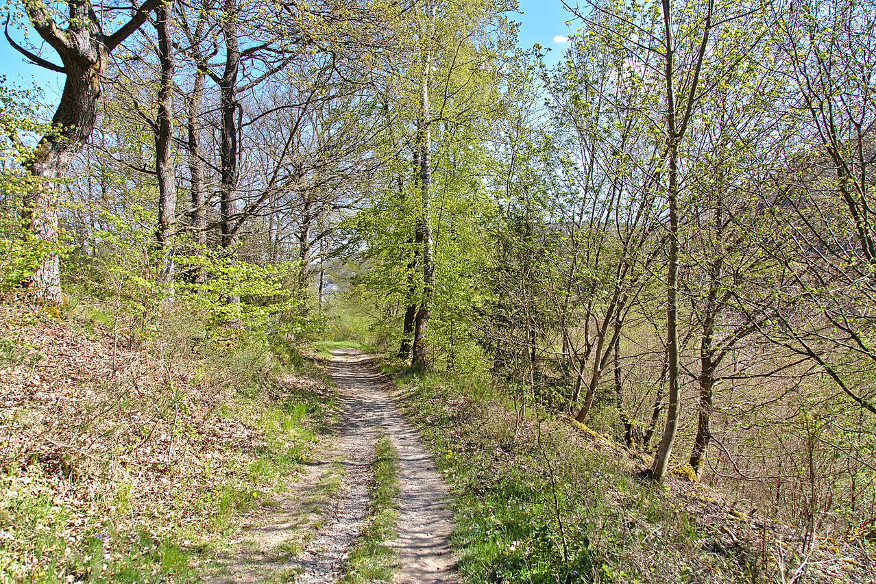 2016-05-07-0024.jpg