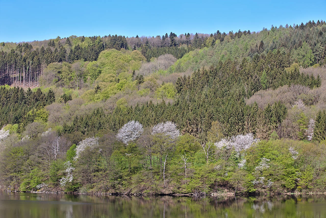 2016-05-07-0031.jpg