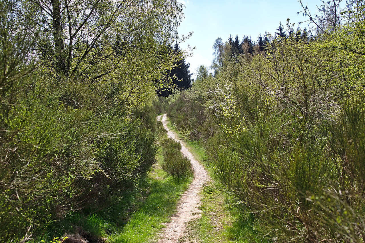 2016-05-07-0032.jpg
