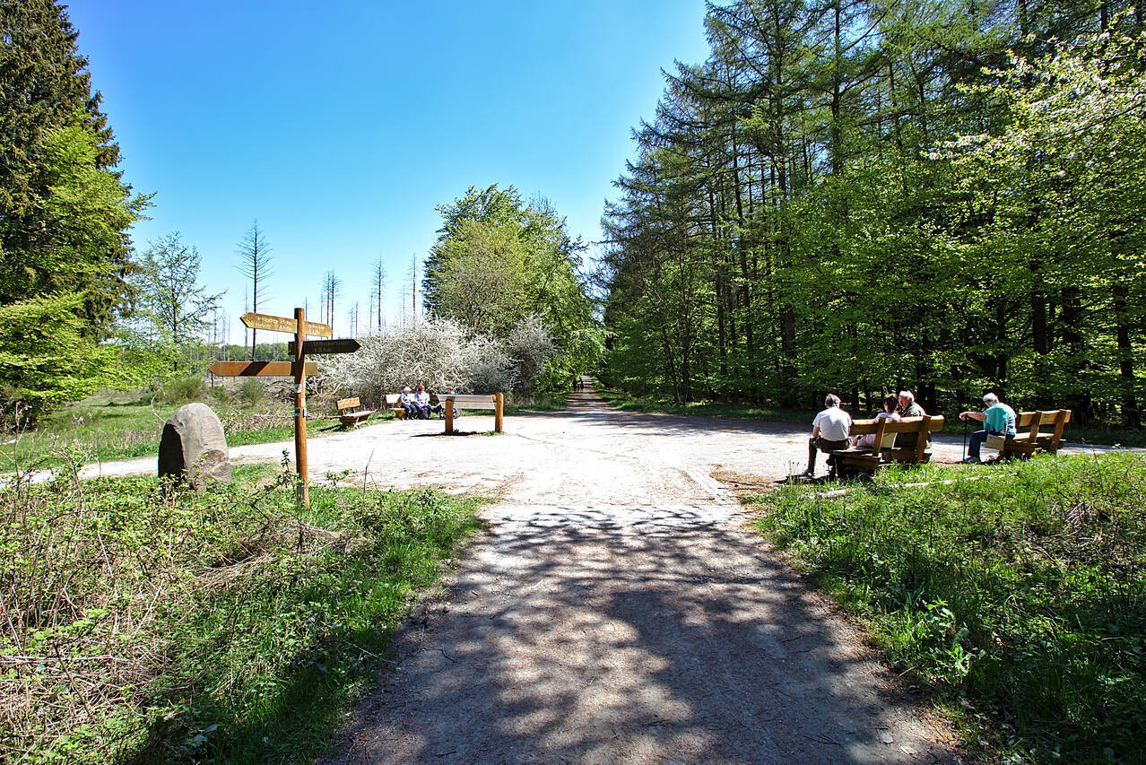 2016-05-08-0073.jpg