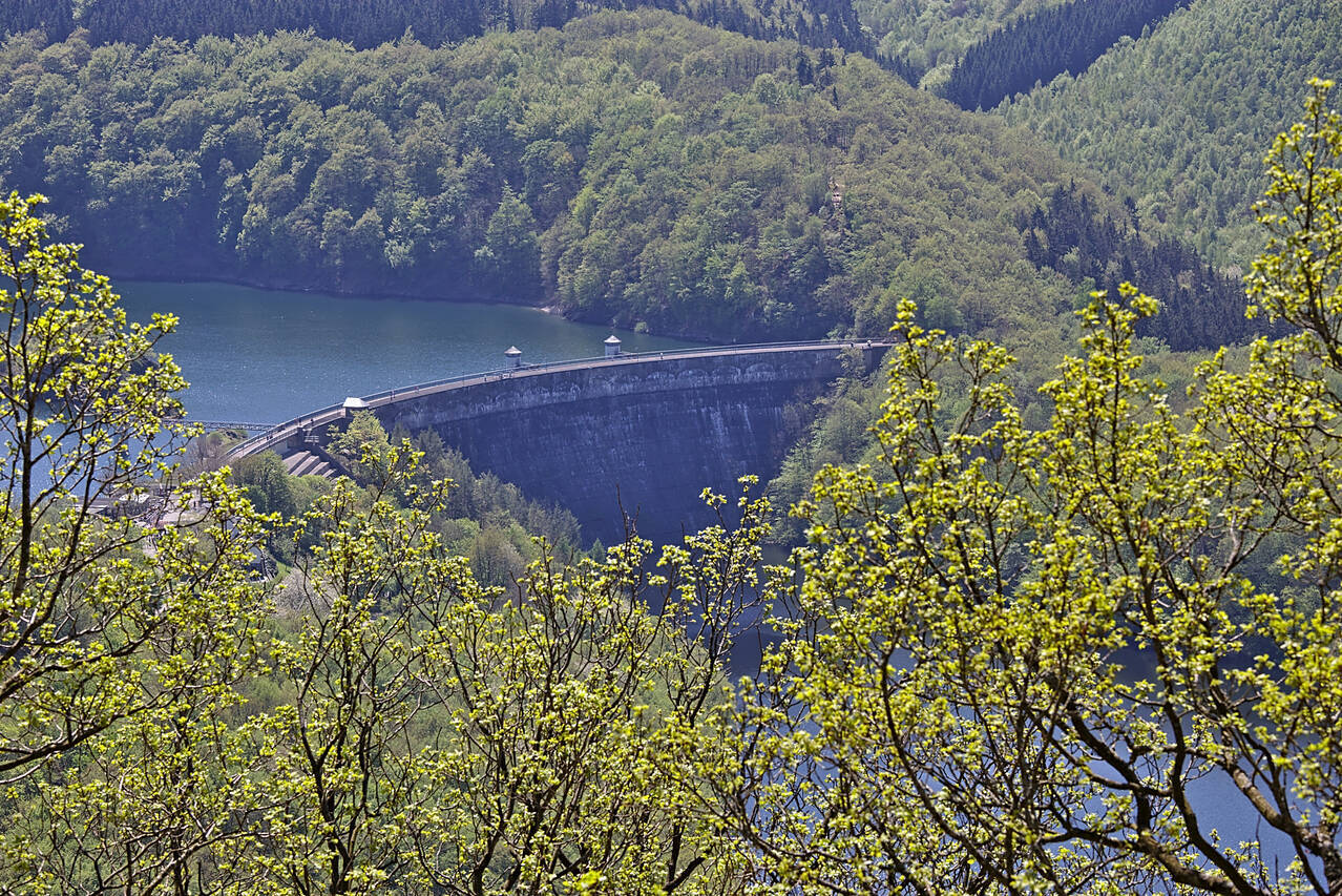 2016-05-08-0075.jpg