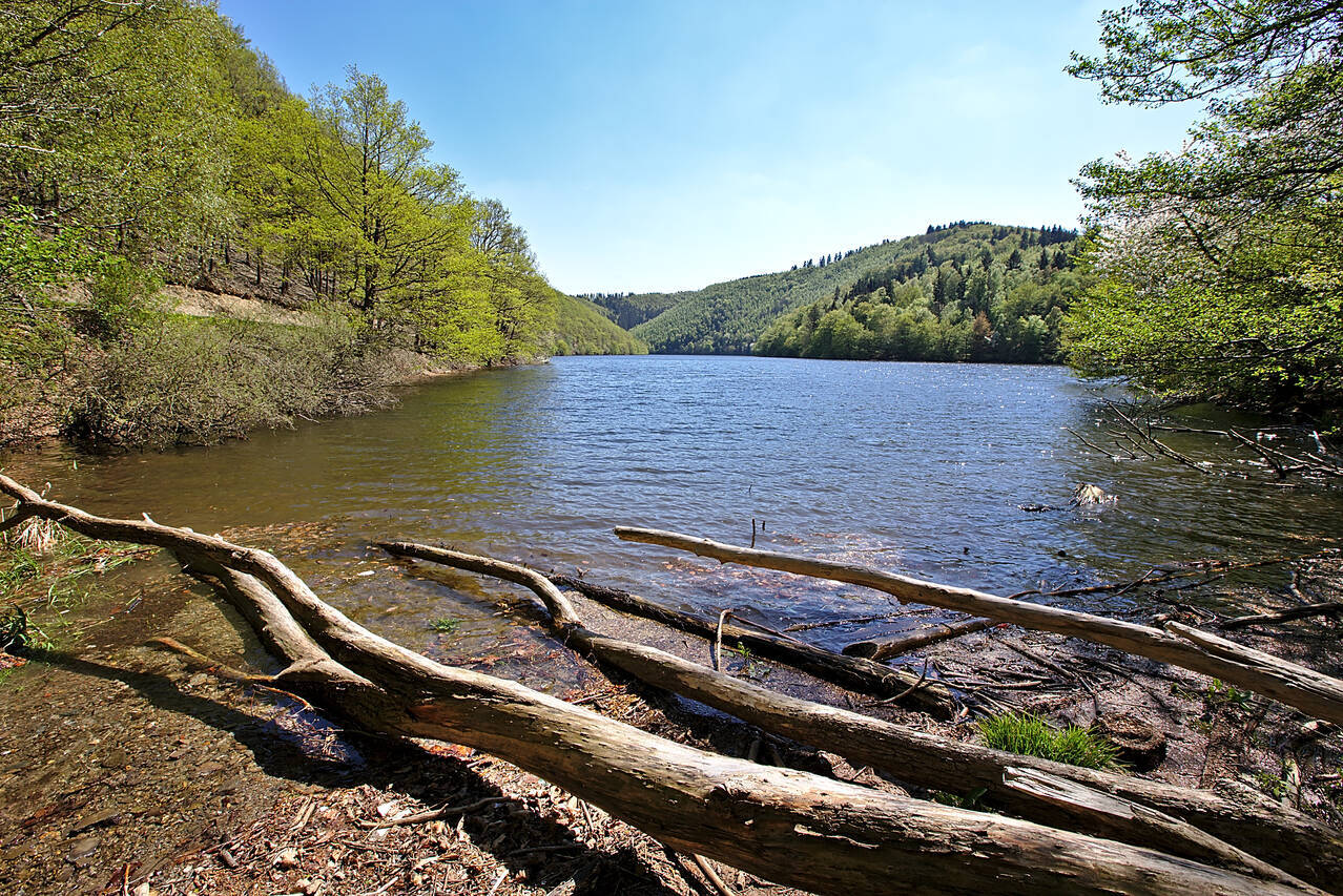 2016-05-08-0079.jpg