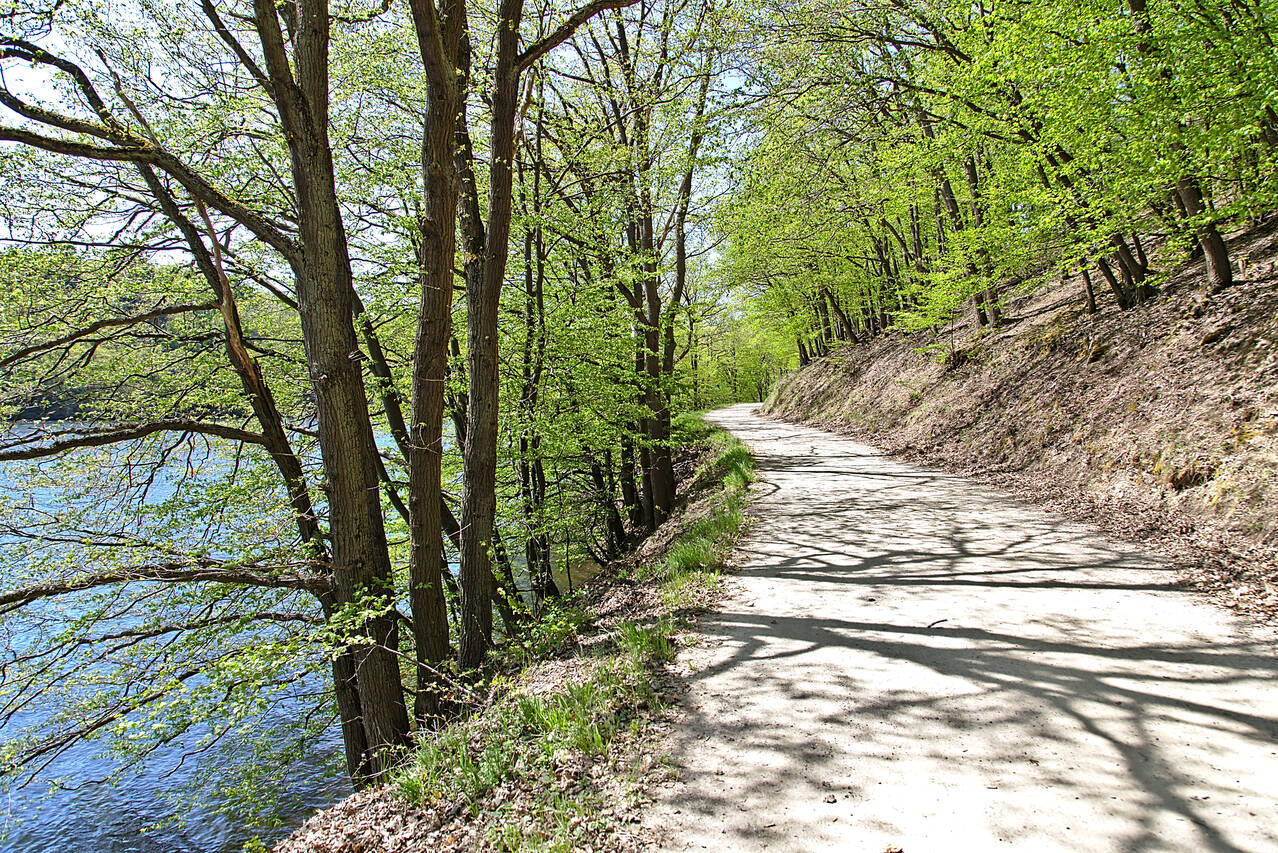 2016-05-08-0080.jpg