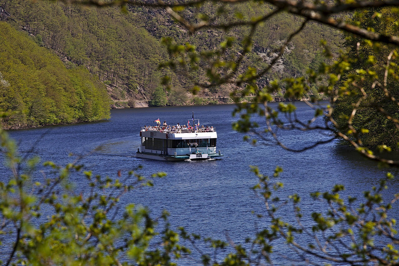 2016-05-08-0081.jpg