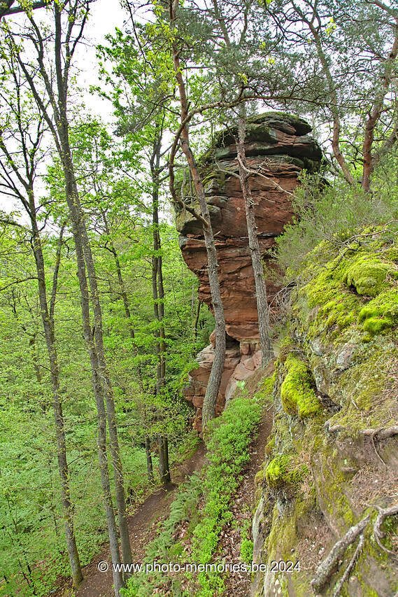 2016-05-14-0004.jpg