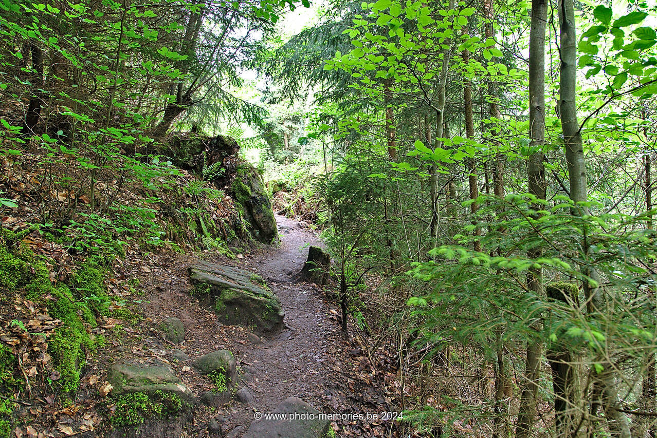 2016-05-14-0009.jpg
