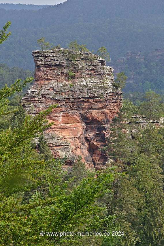 2016-05-14-0011.jpg