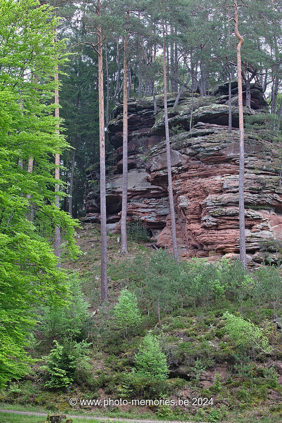 2016-05-14-0029.jpg
