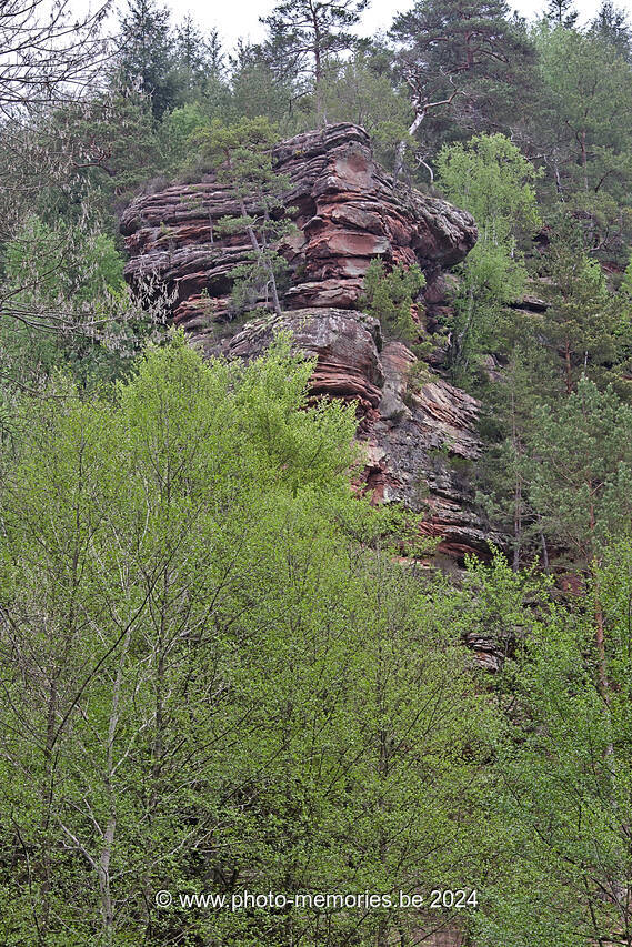 2016-05-14-0032.jpg