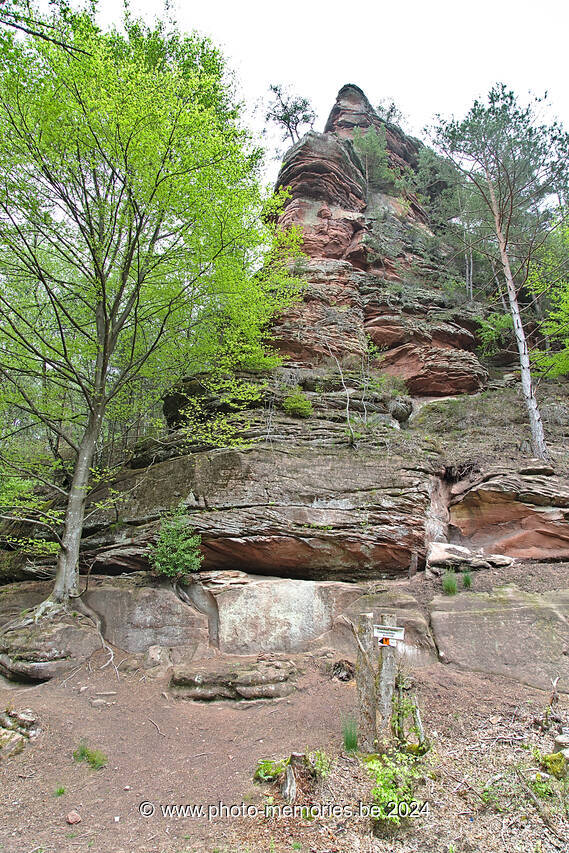 2016-05-14-0033.jpg