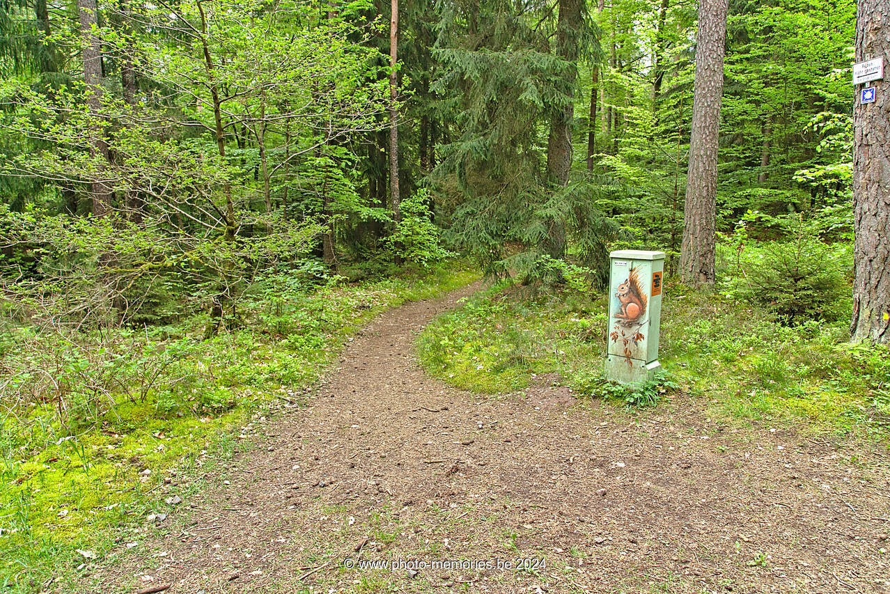 2016-05-14-0038.jpg
