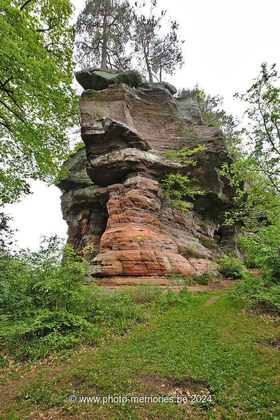 2016-05-15-0065.jpg