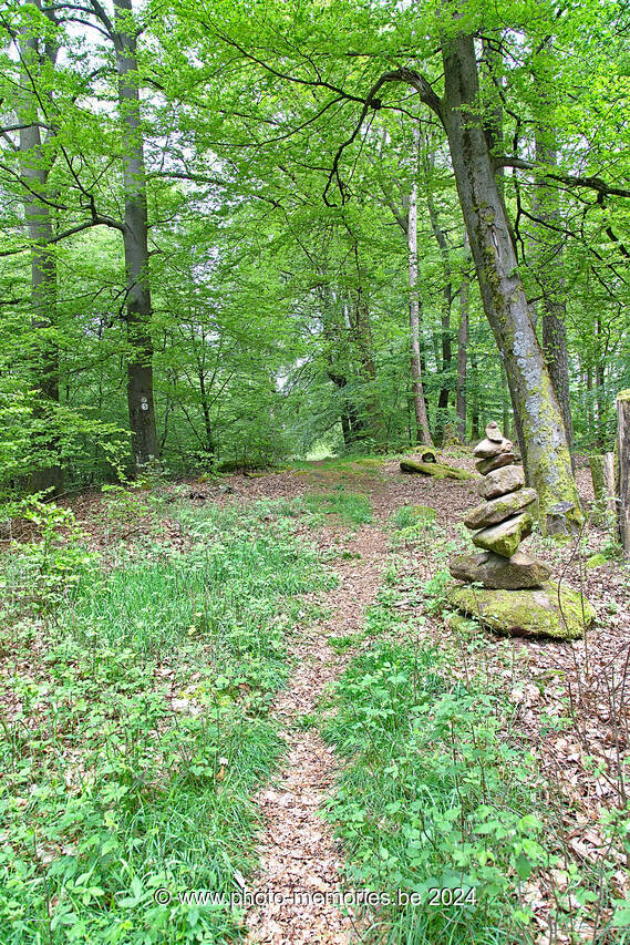 2016-05-15-0070.jpg