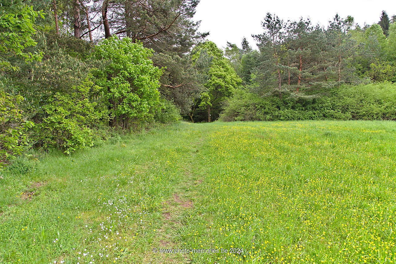 2016-05-15-0074.jpg