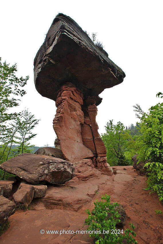 2016-05-16-0084.jpg