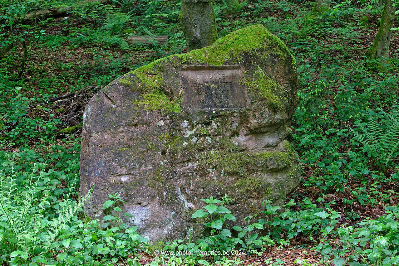 2016-05-16-0093.jpg