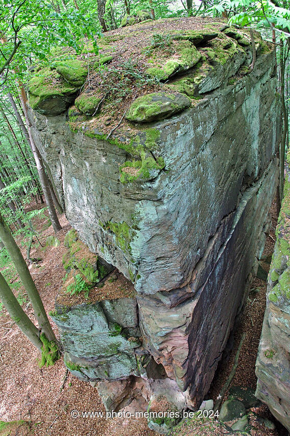 2016-05-17-0105.jpg