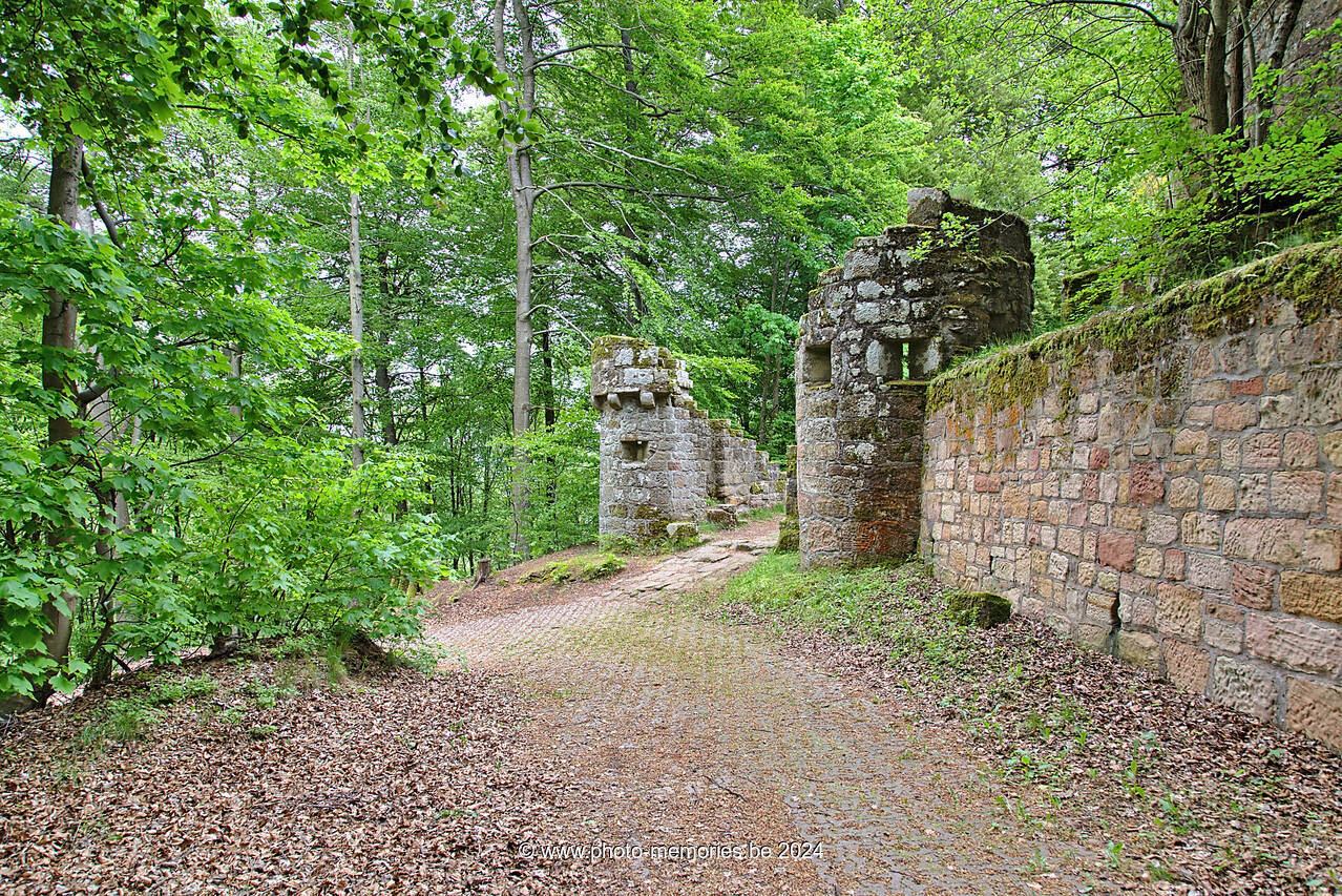 2016-05-17-0122.jpg