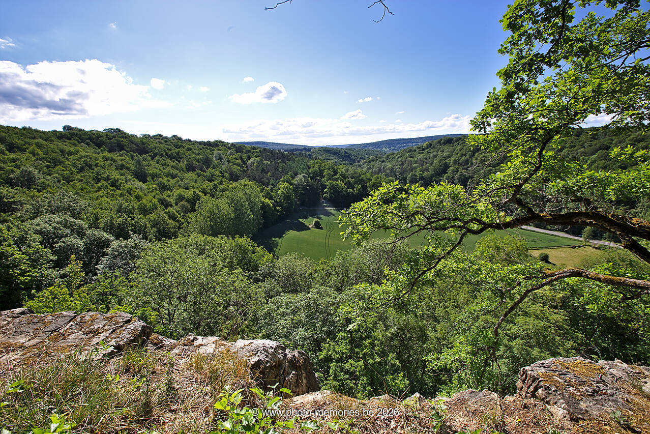 2020-05-31-0022.jpg