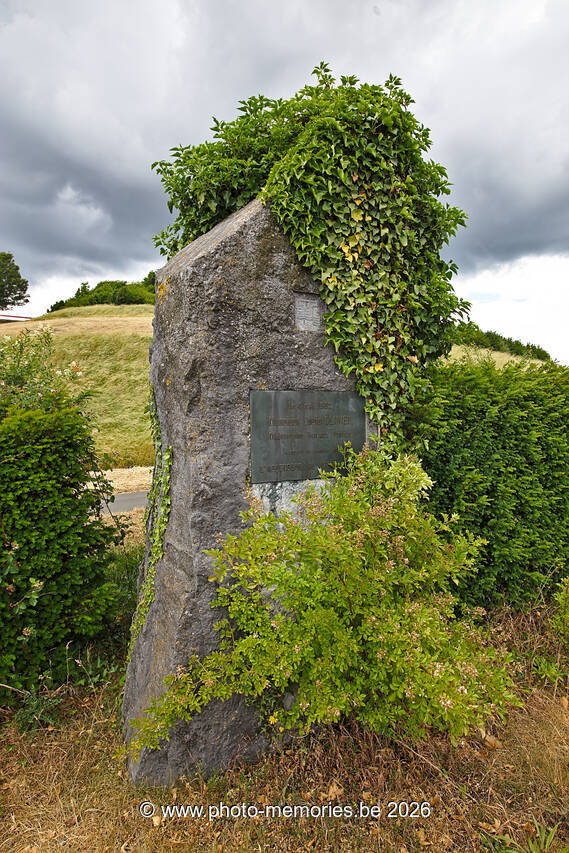 2020-06-05-0007.jpg