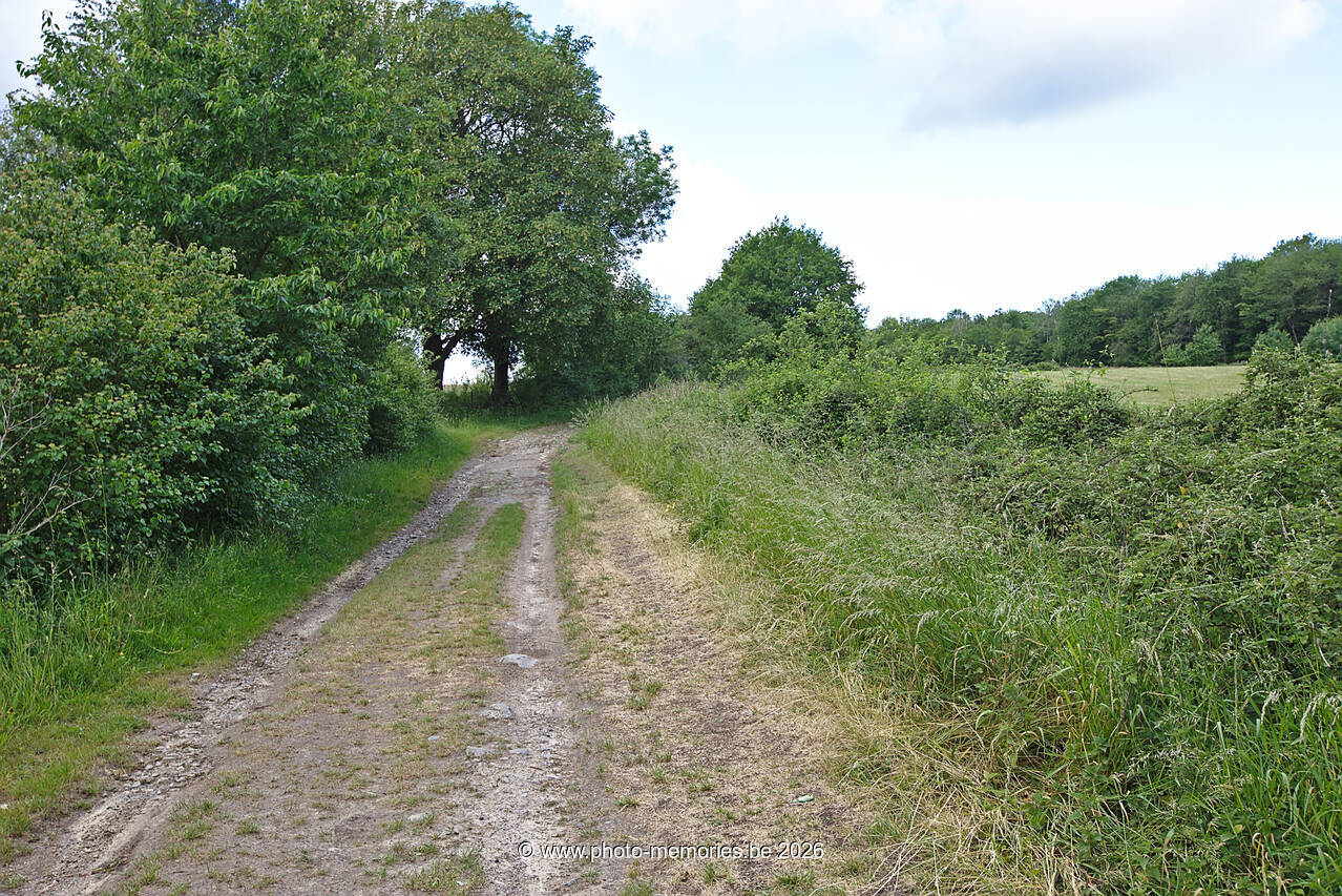 2020-06-07-0016.jpg